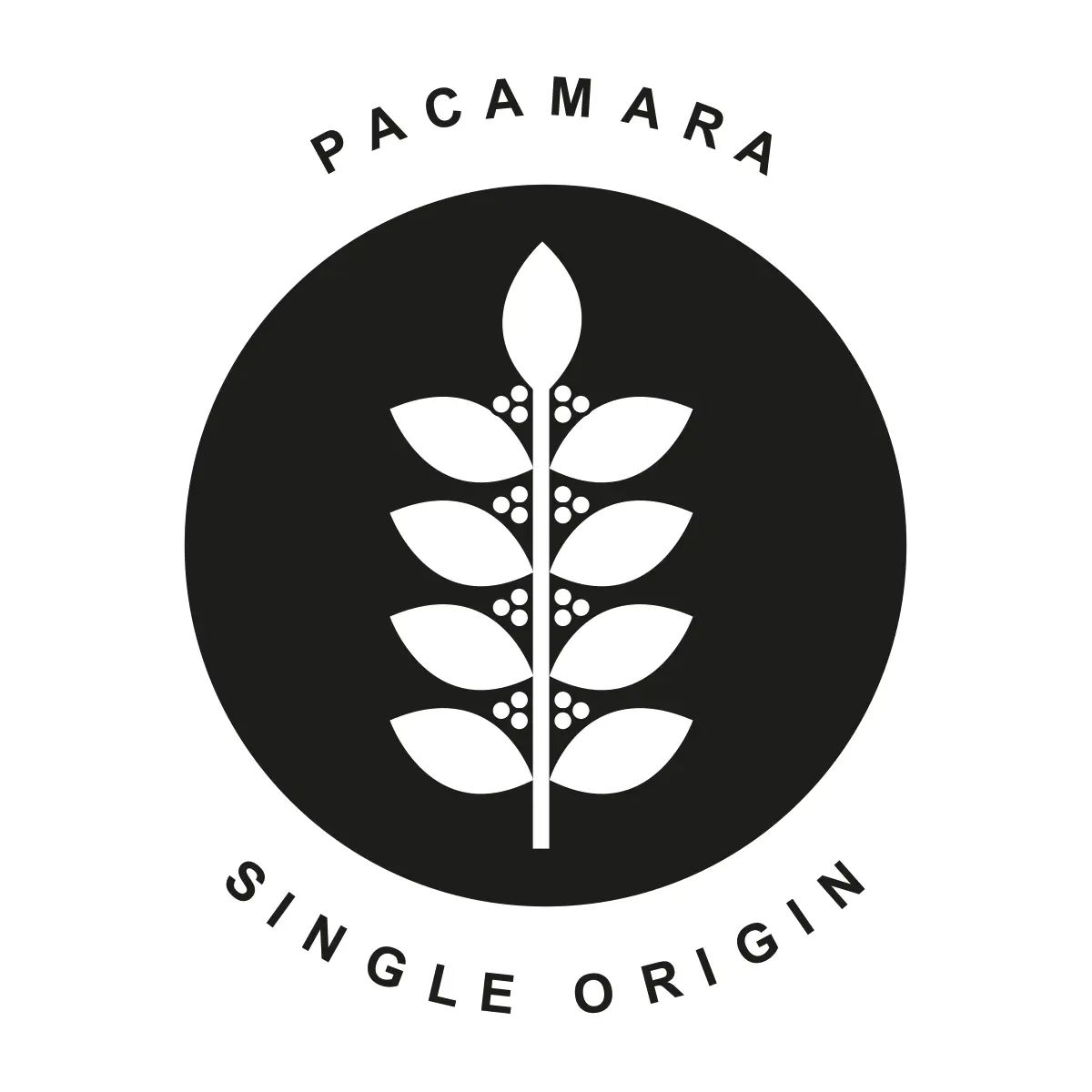 Pacamara - Medium - The Eco Coffee Store