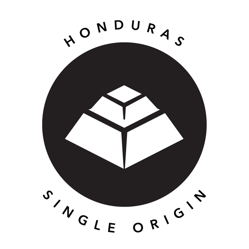 Sustainably Caffeinated Coffee Bundle