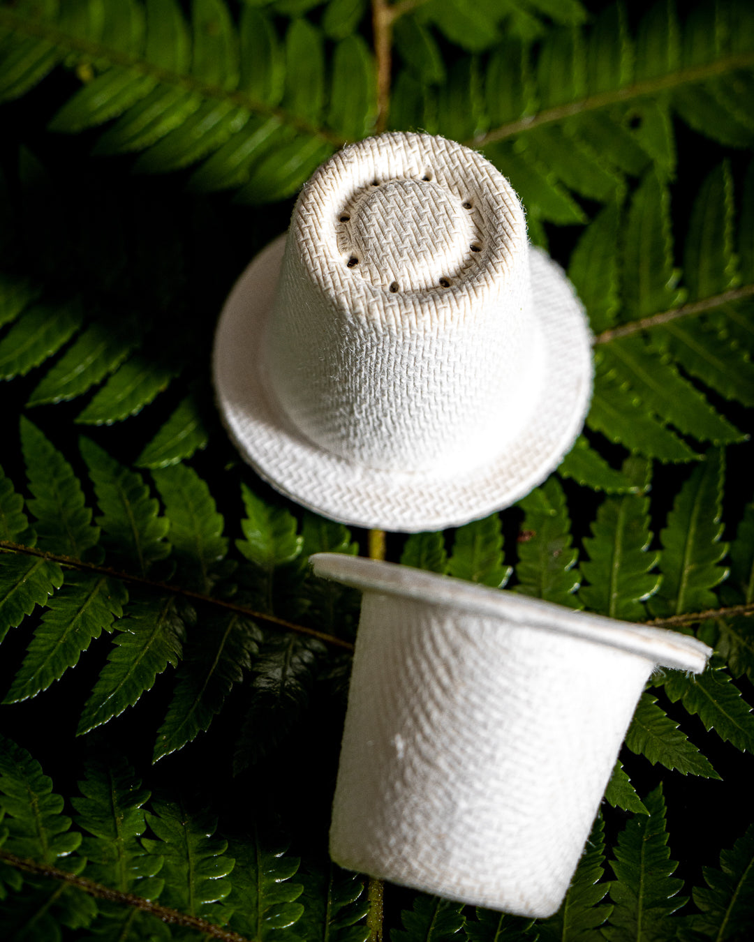 Ola white home compostable coffee capsules sitting on a green fern leaf