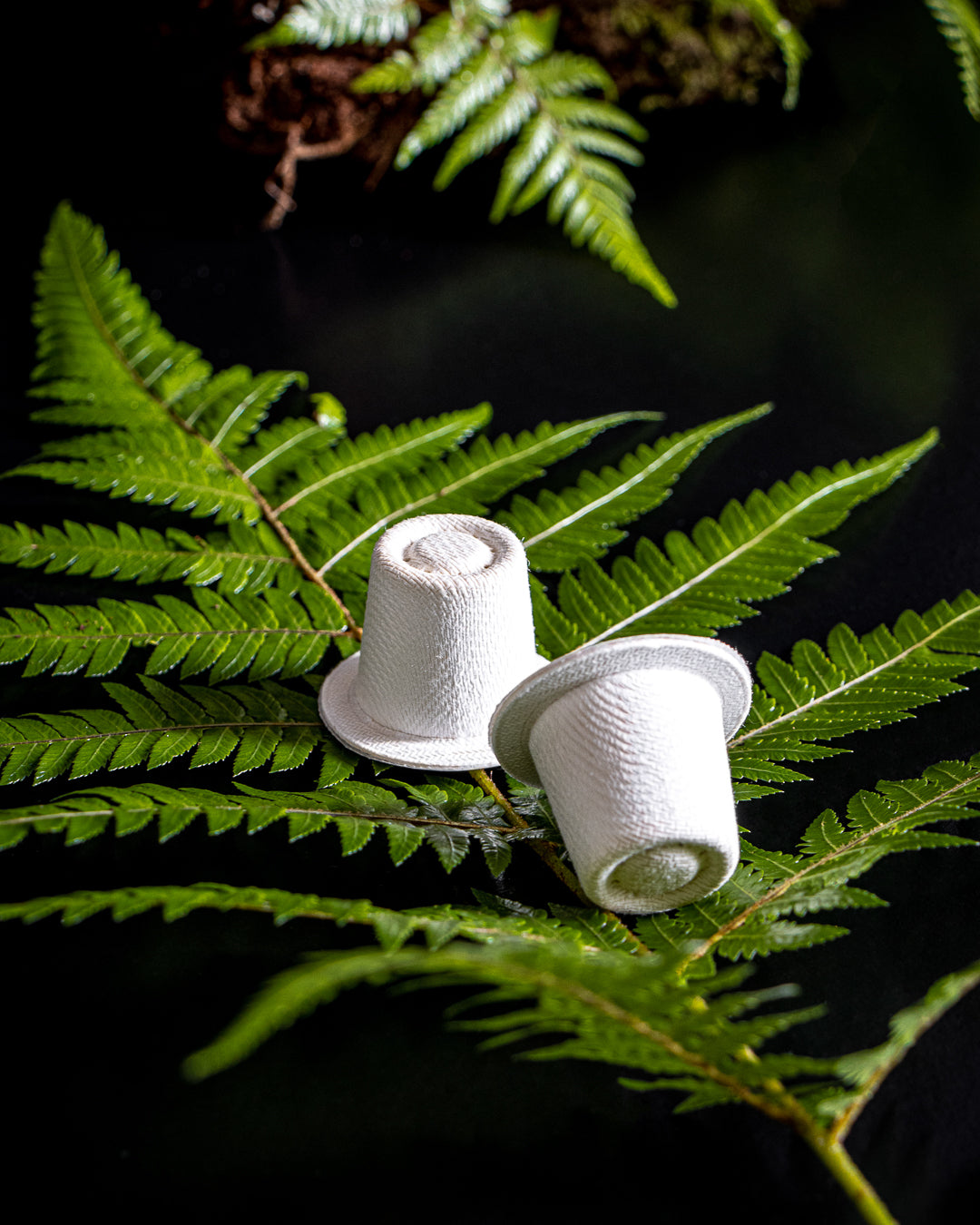 Ola home compostable coffee capsules sitting on top of a green fern leaf